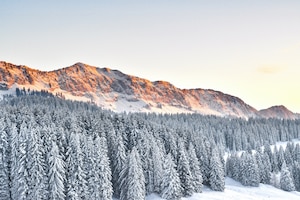 Schneelandschaft Berge Bäume