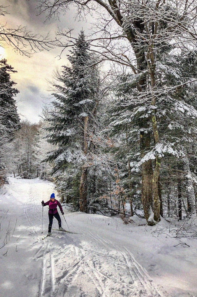 Mann beim Langlaufen auf Loipe im Wald