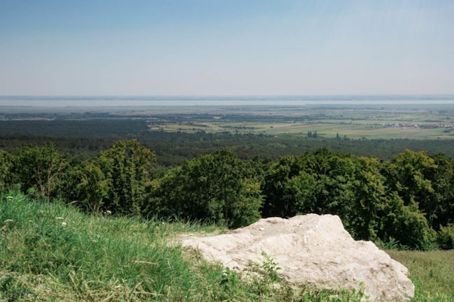 Wandern in Eisenstadt, Pflockgrabenberg, Aussicht, Sehenswürdigkeiten Eisenstadt, Burgenland, Berg, Hügel, Wald, Aussicht