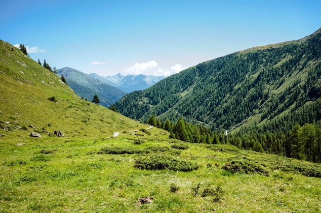 Urlaub in den Bergen, Blick über eine Landschaft, Bergluft, Sommer, grüne Wiesen, Wälder, blauer Himmel