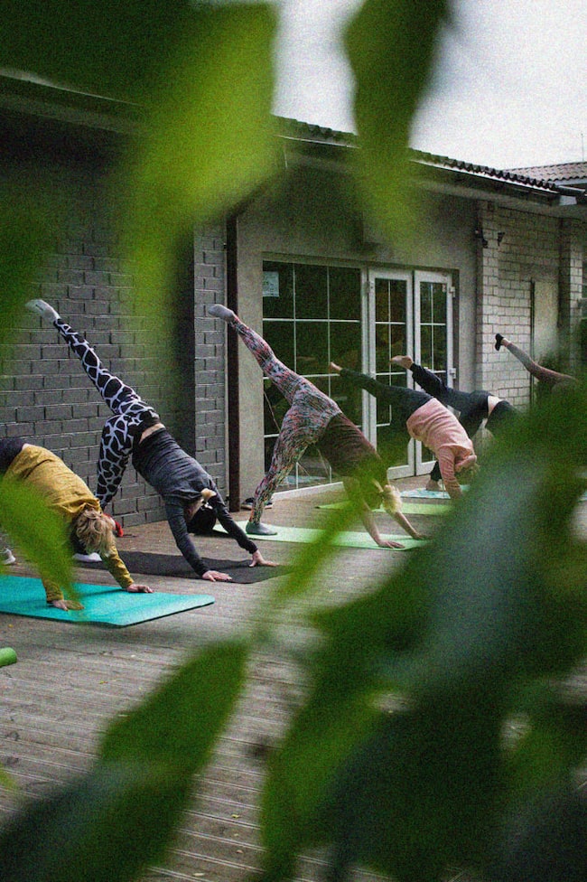 Gruppe macht Yoga-Übungen.