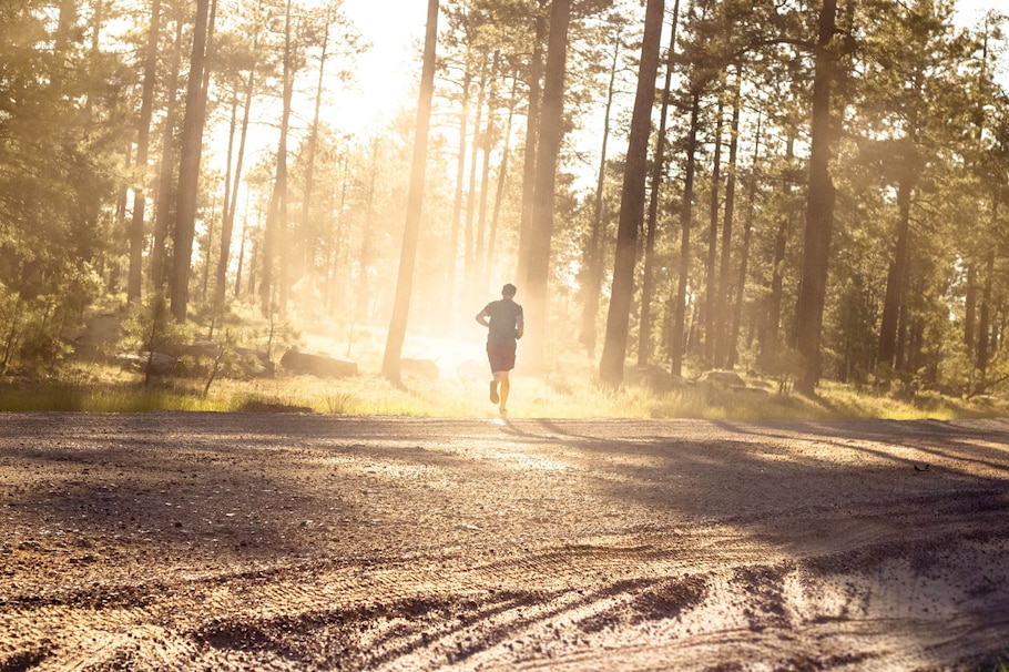 Wald, Jogger, Mann, Sonnenschein, Waldboden, Laufen