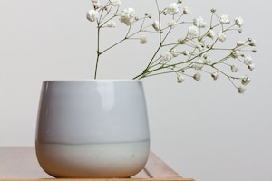 Zweig, Vase, minimalistisch