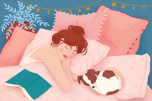 Illustration, Frau, Hund, Buch, Bett, schlafen, Schlafen bei Hitze