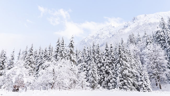 Erholung: Raus gehen und die Stimmung der Natur von Wagrain-Kleinarl genießen.