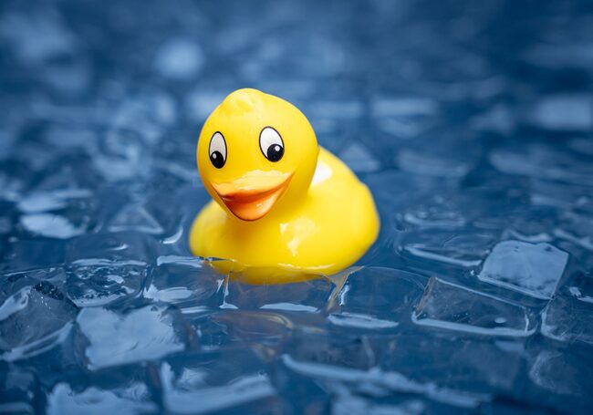 Badeente schwimmt in Eiswürfeln