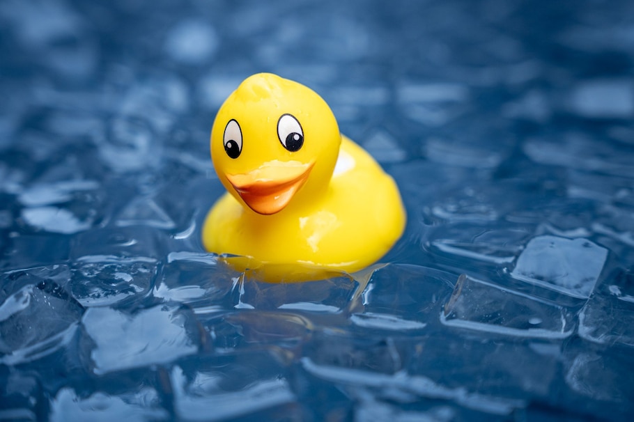 Badeente schwimmt in Eiswürfeln