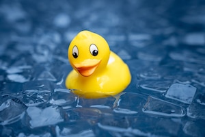 Badeente schwimmt in Eiswürfeln