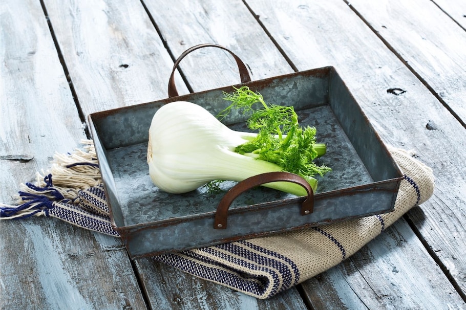 Fenchel in der Suppe stärkt das Immunsystem