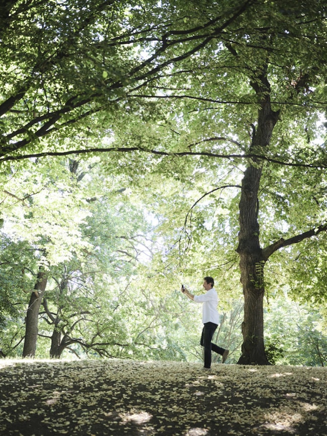 Mann läuft mit Smartphone in der Hand durch Wald, Laubwald, Sonnenschein