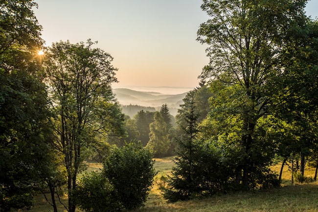 Mühlviertel und Wald, Sonnenaufgang, Urlaub im Mühlviertel, Sommer, Nebel