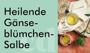 Gänseblümchensalbe DIY>