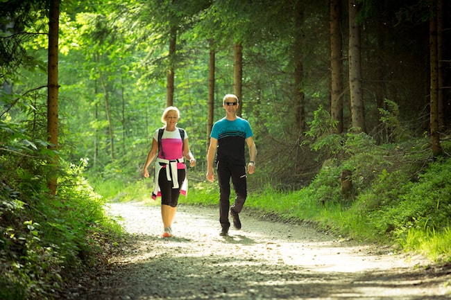 Wanderer im Moorwald, Wald, Wanderweg, Frau mit Rucksack, Mann, wandern, Urlaub im Mühlviertel