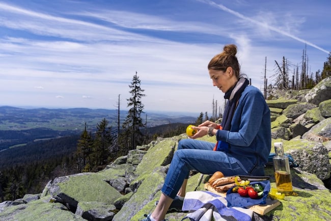 Picknick, Oberösterreich, Böhmerwald, Österreich, Steinernes Meer