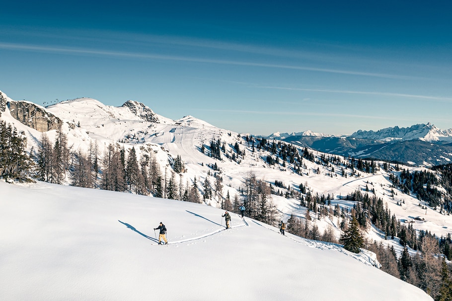 Regeneration mit Aussicht vom Shuttleberg Wagrain-Kleinarl.