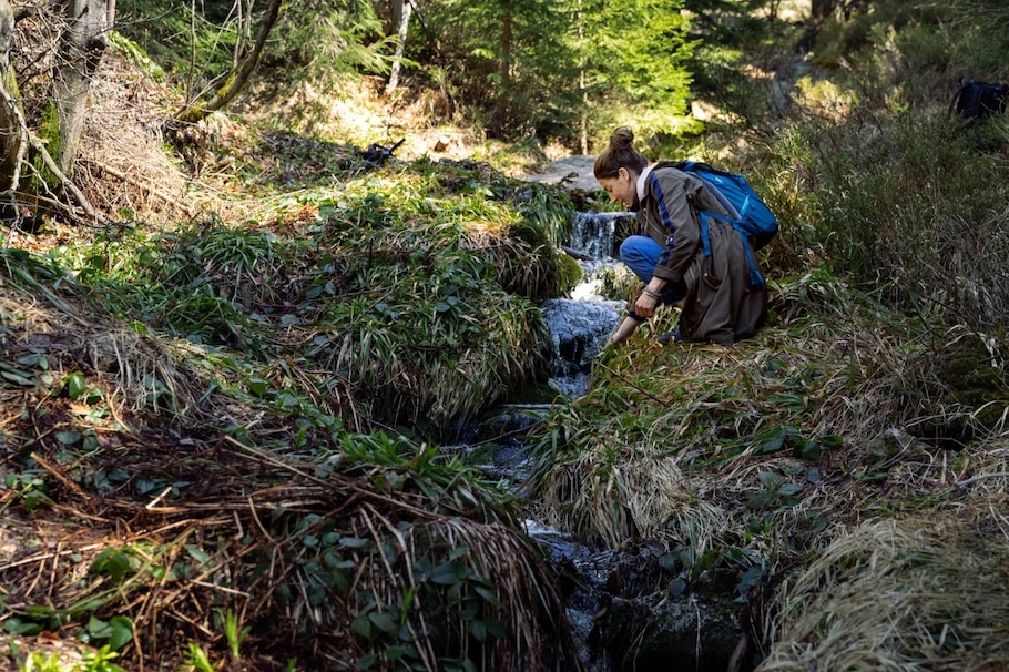 Wo der Weg das Ziel ist: 48 Stunden Krafttanken im Böhmerwald