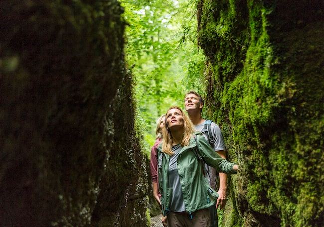 Eine kleine Wandergruppe in der Drachenschlucht bei Eisenach.