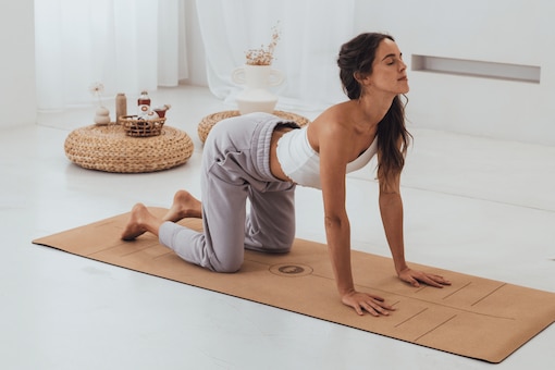 Yoga Follikularphase